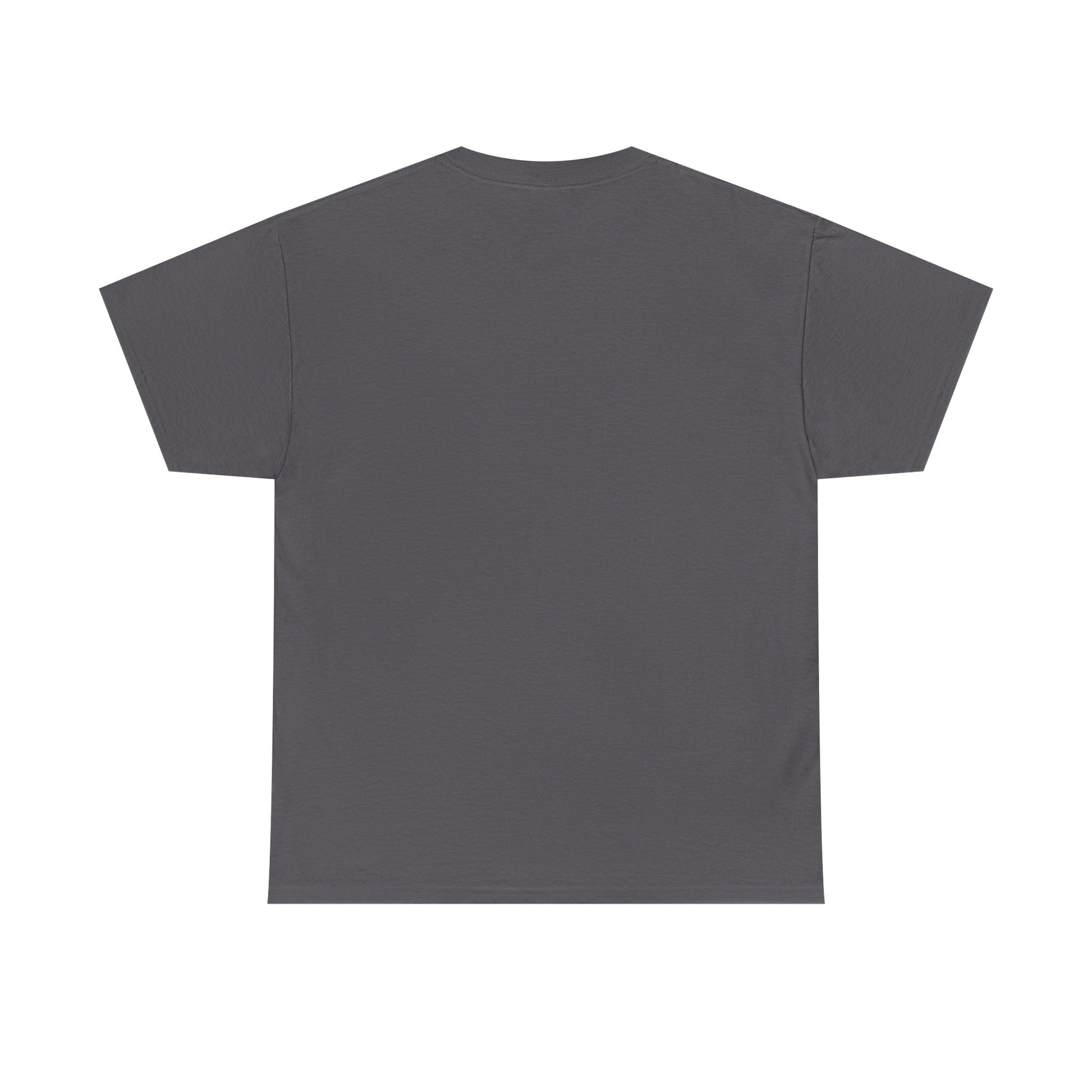 Dark gray vintage T-shirt, plain back view with crew neck and short sleeves