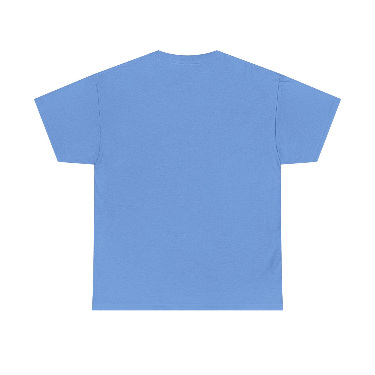 Light blue vintage T-shirt, plain back view with crew neck and short sleeves