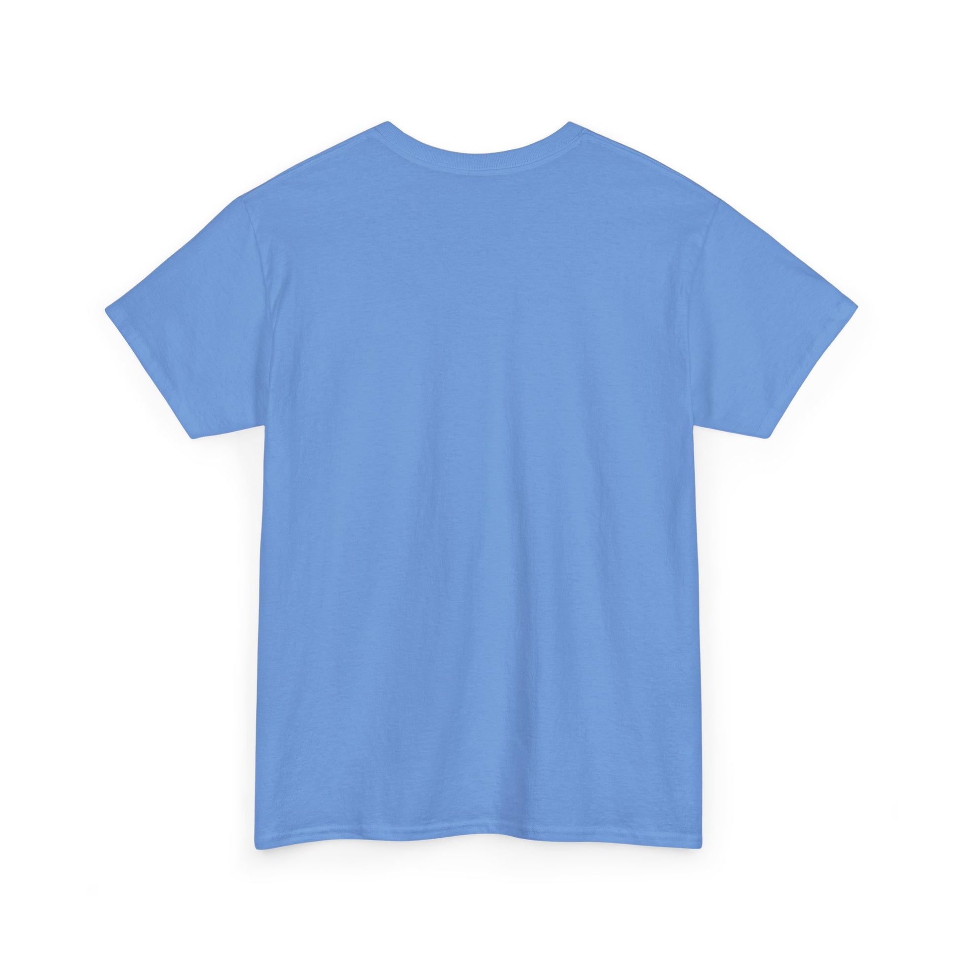 Light blue t-shirt, plain back view with short sleeves and crew neckline