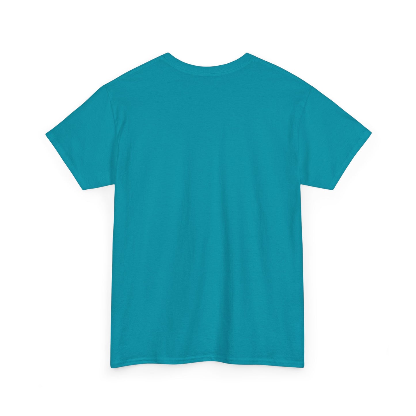 Teal t-shirt, plain back view with short sleeves and crew neckline